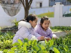 【生活燕幼·园区动态】燕幼中心园雨水时节，润物无声——大一班雨水节气活动_html_m176551e9.jpg