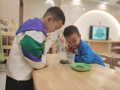 【生活燕幼&middot;教科研动态】 潜心教研　共促成长——科学组公开课教研活动_html_m44979ef9.jpg