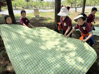 20250408 【生活燕幼·园区动态】燕鸣苑分园：“不负春光，趣享成长”——春游活动_html_m59e24a34.jpg