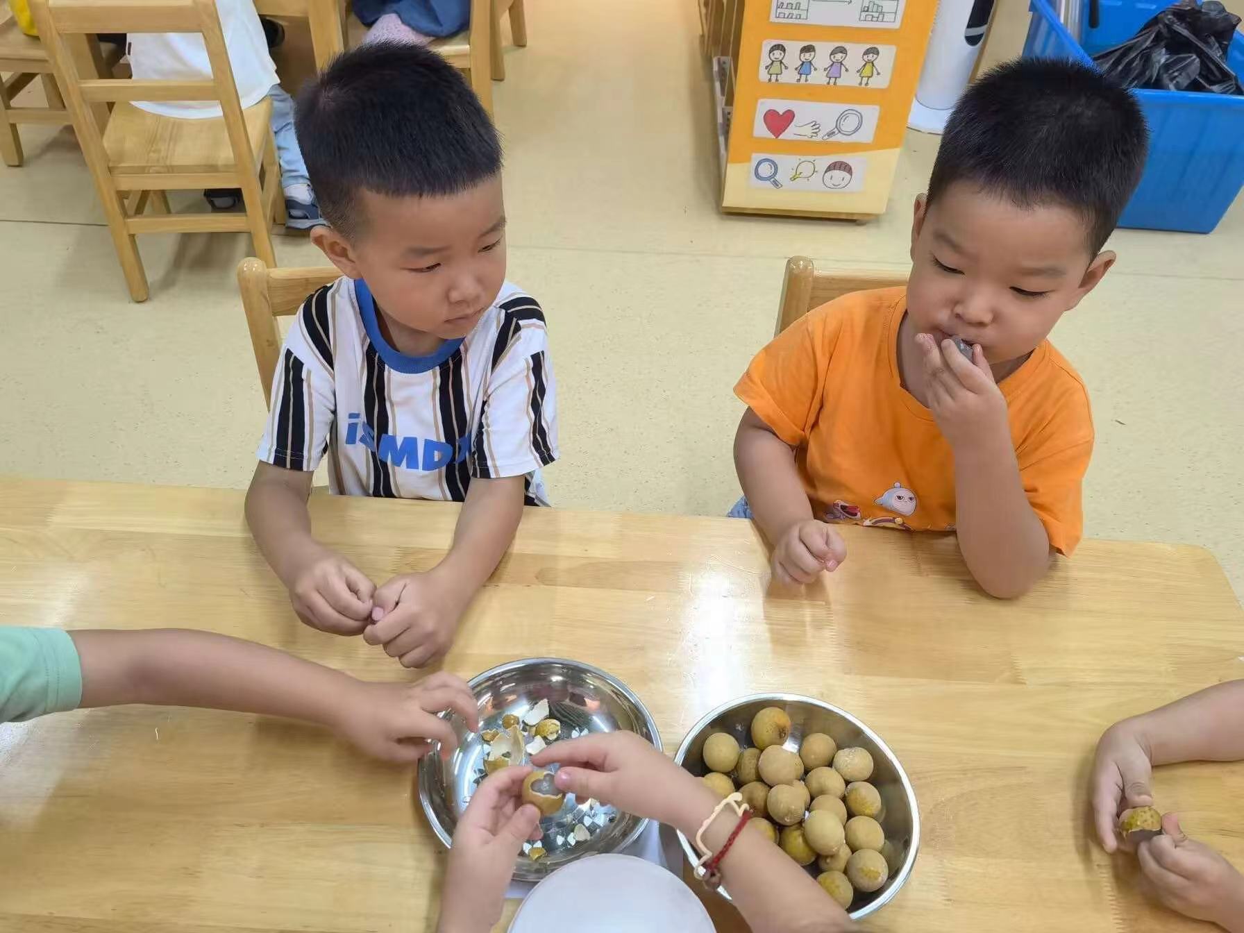 20240905【生活燕幼·园区动态】新城分园：“秋高气爽，白露生凉”——二十四节气活动活动_html_1dceb329.jpg