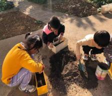 祥和园大班项目课程种植蚕豆新闻稿(1)_html_m30c8582f.jpg