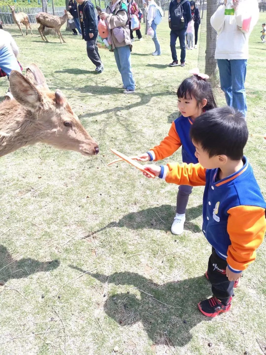 20230407【生活燕幼·园区动态】燕鸣苑分园：遇春光，趣春游——幼儿园春游活动_html_m34265f7b.jpg