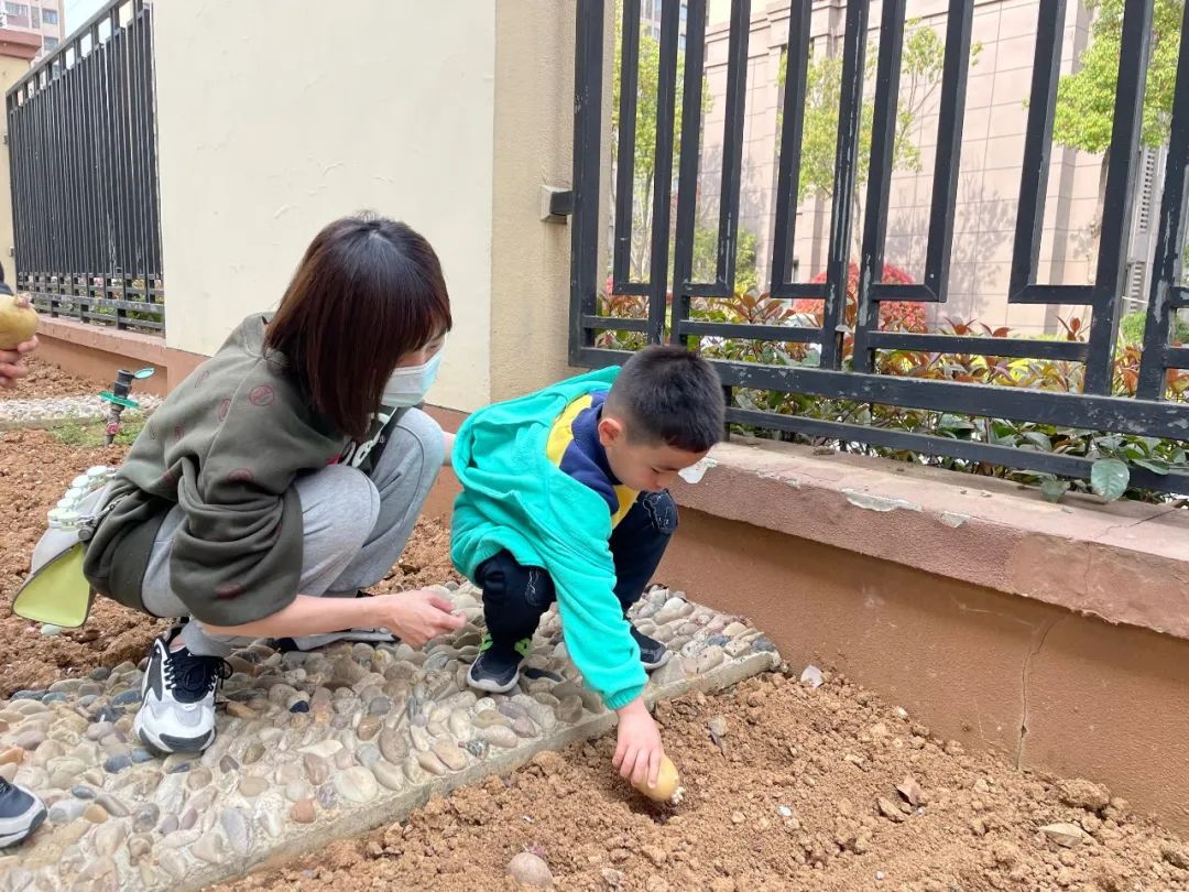 20230328【生活燕幼·园区动态】燕鸣苑分园：趣探惊蛰 万物新生——记小二班惊蛰节气活动_html_1a30d553.jpg