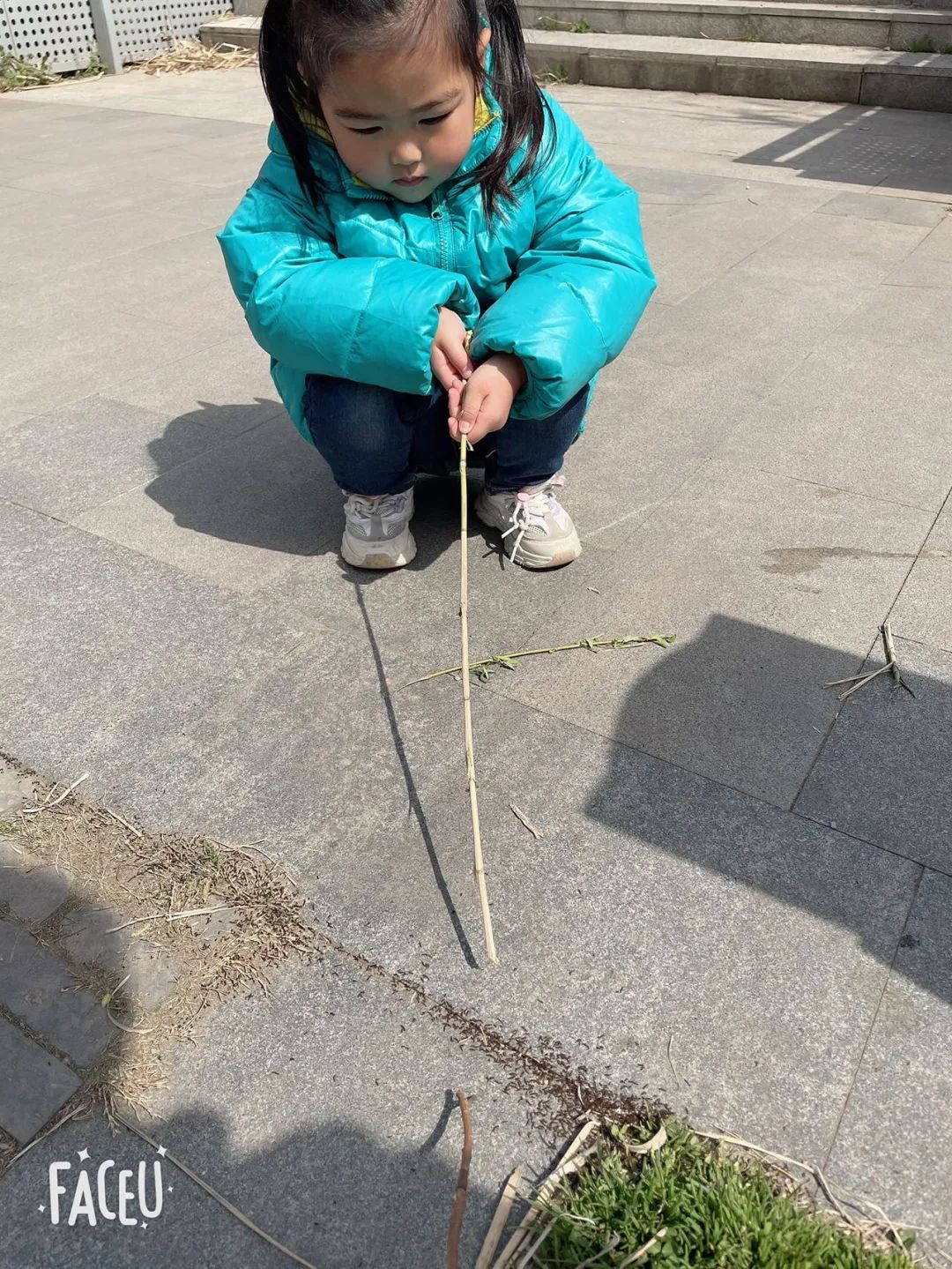 20230328【生活燕幼·园区动态】燕鸣苑分园：趣探惊蛰 万物新生——记小二班惊蛰节气活动_html_6a43d13.jpg