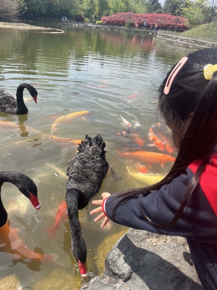 20230407 新城银杏湖春游_html_mbec2a8a.jpg