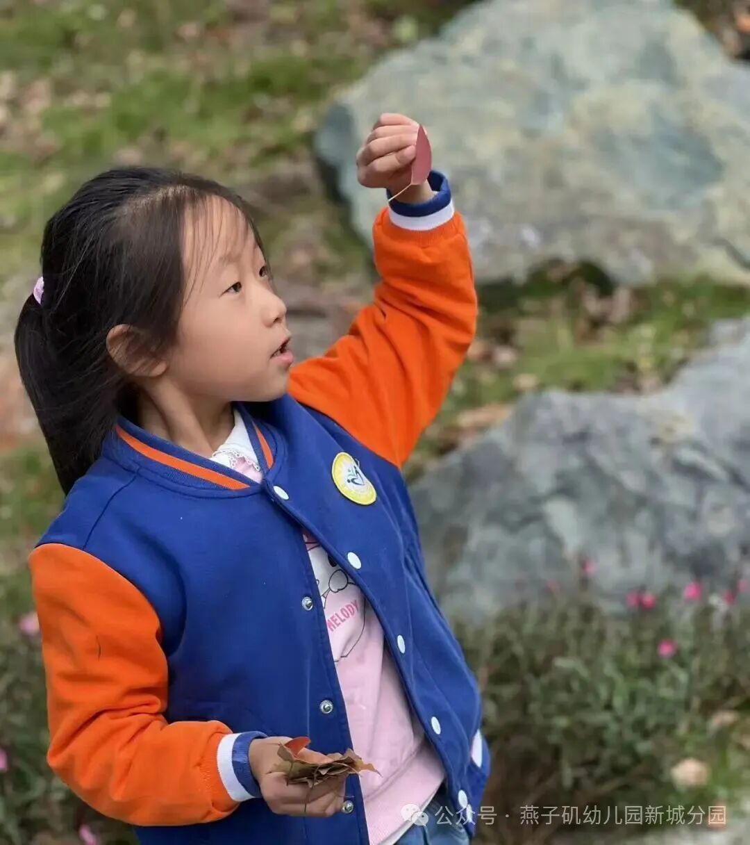 20251024【生活燕幼·园区动态】新城分园:秋游_html_m2bfec84a.jpg