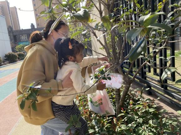 【生活燕幼·园区动态】燕鸣苑分园：“春”满燕鸣——植树节活动_html_m666fc959.jpg