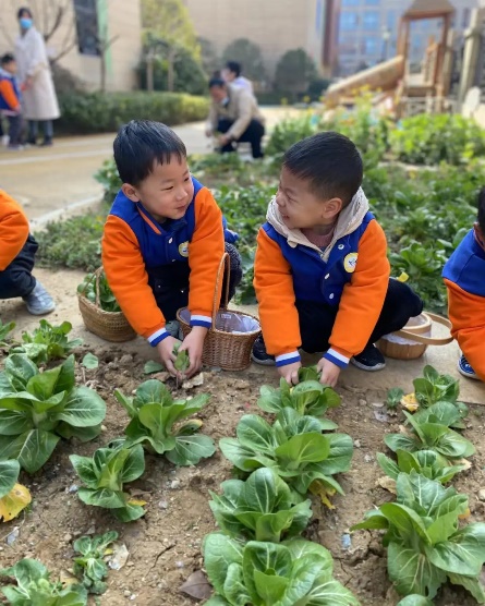 20230312新城园种植月破土日活动_html_43583bd0.jpg