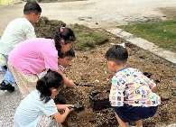 20240906【生活燕幼·园区动态】中心园：“秋风生白露，露至秋意浓”——白露节气活动_html_b109a23.jpg