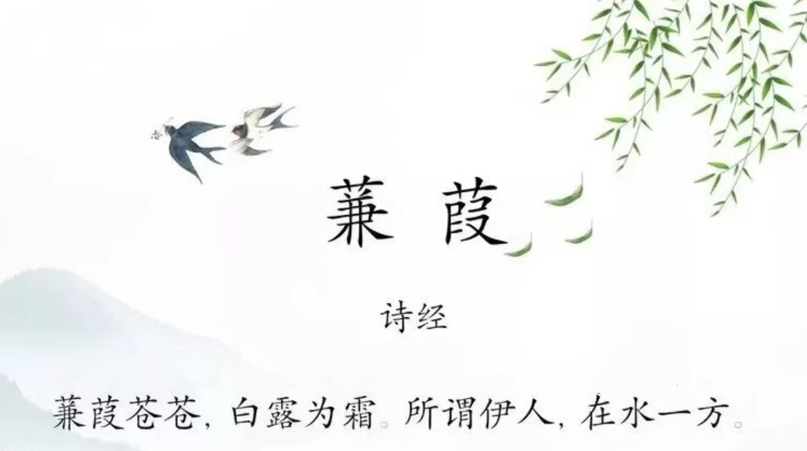 2024.10.8【园区动态】新城园区：袅袅凉风动，凄凄寒露零 ——小一班寒露节气活动_html_6db1a5b0.jpg