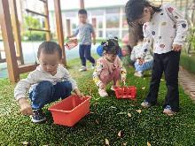 20230508燕幼中心园劳动教育周系列活动_html_m5f00fd26.jpg