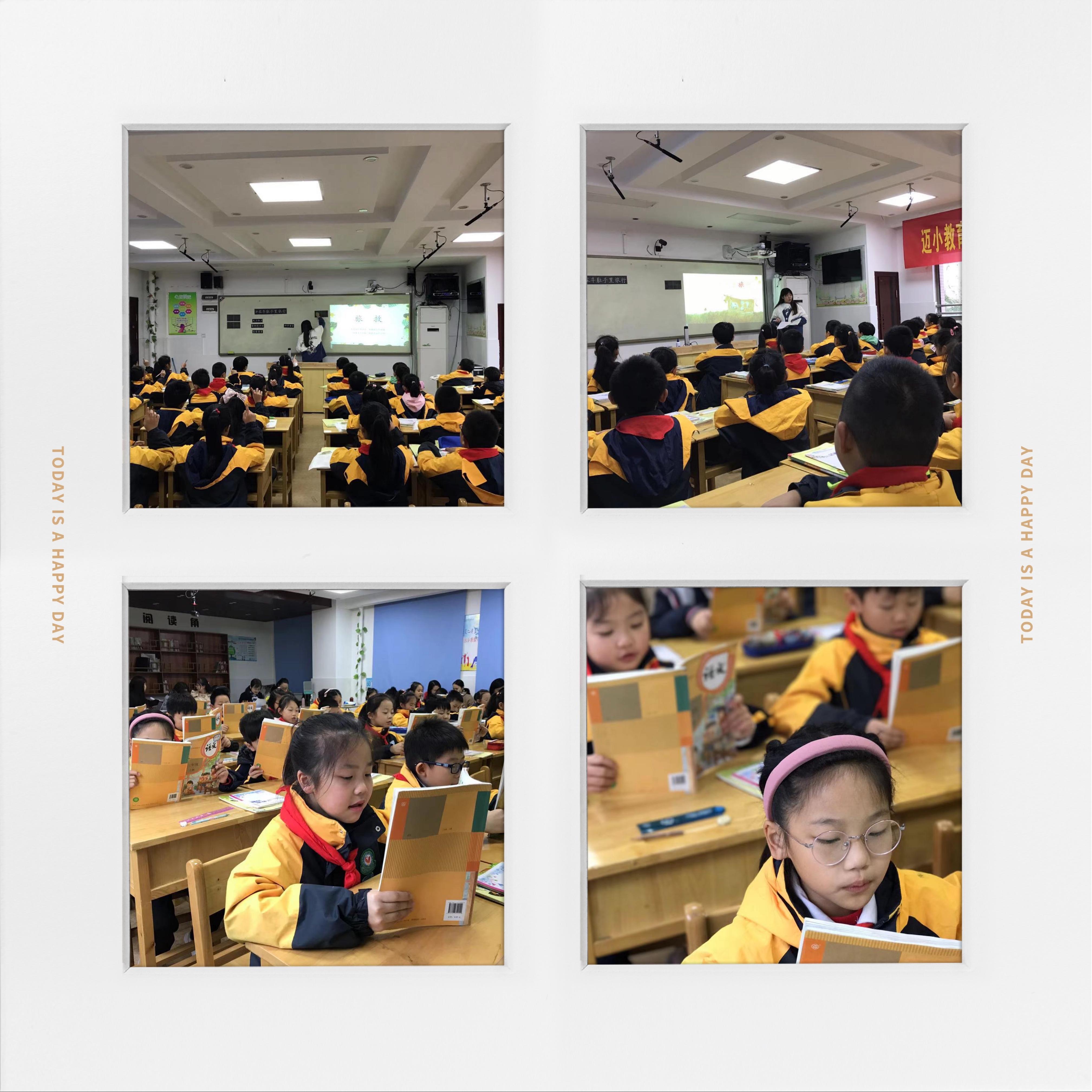 【养正颐小】落实减负增效，回归学科本质  ——双减背景下小学语文作业设计的研究