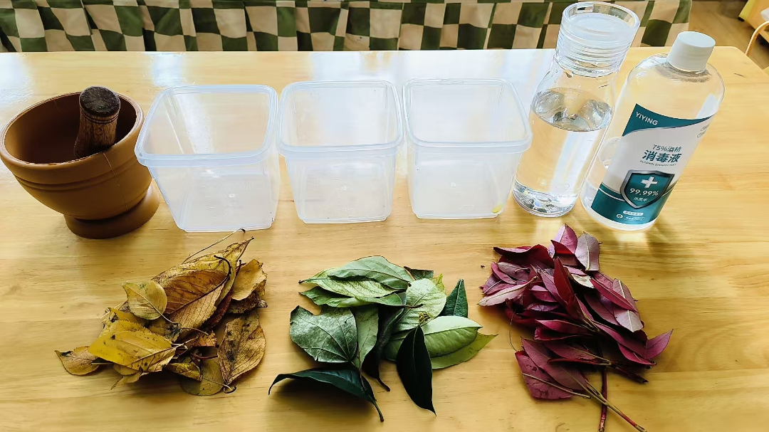 024666f0fa5ce3809582766960effea3.png 024666f0fa5ce3809582766960effea3.png