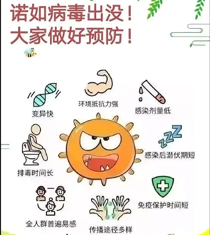 临时_html_677d231f.png