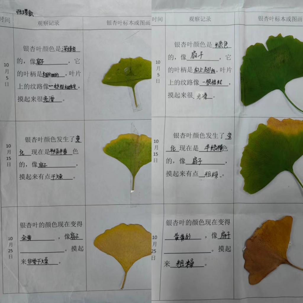 研讨新闻稿(1)(1)_html_m4455bf16.jpg