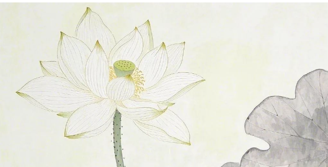 【大爱青秀·教】以赛促研精打磨 聚力课堂提素养  ——青秀城小学开展小学数学校本研修活动