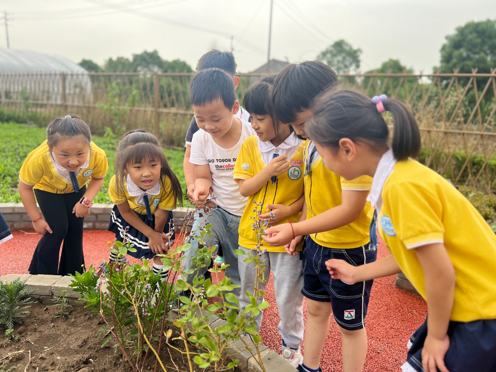 【乐活龙幼·乐享童年】告别小时光 一起向未来 ——龙潭幼儿园长江分园毕业研学活动