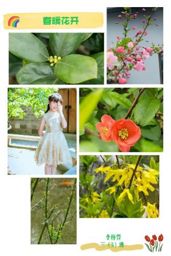 20210322杨晓倩摄影大赛_html_m640a0e5.jpg