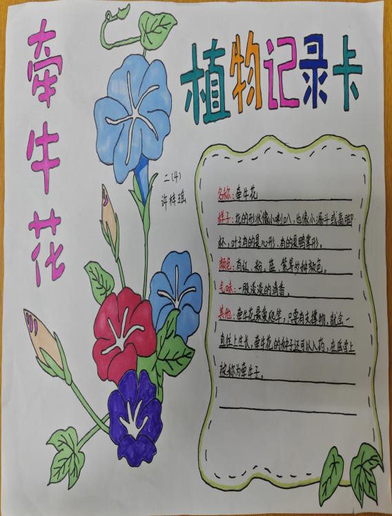 我为班级选班植语文实践活动报道_html_1362682d.jpg