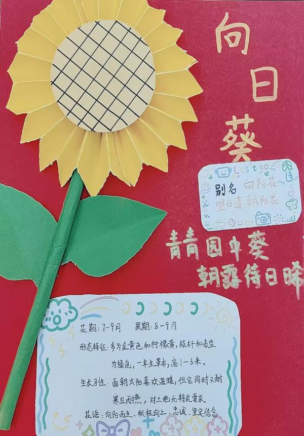 我为班级选班植语文实践活动报道_html_2b381b7c.jpg
