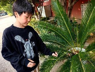 20250312植树节活动_html_3a4df511.jpg