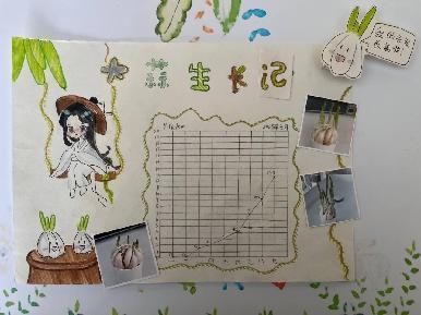 20250425五数数学实践活动蒜叶成长记吉康写_html_m5a49da3e.jpg