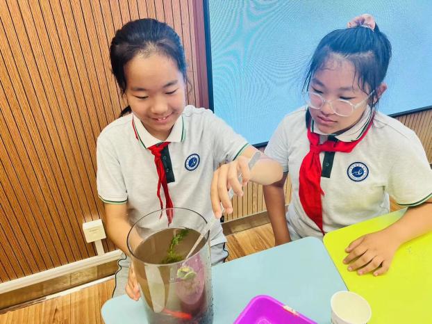 20240613指向“工学团创”的微项目式教学——暨栖霞区小学科学区级教研活动新闻稿_html_54e4b602.jpg