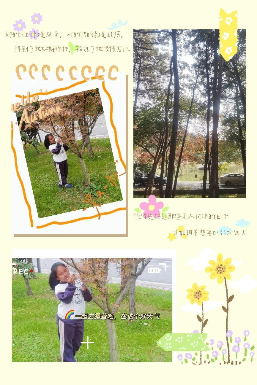 秋天有hua说——南湾营小学三年级语文实践活动_html_m29b504e9.jpg
