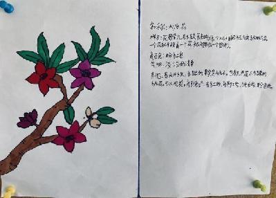 植物记录卡 亲近大自然_html_6de0d41.jpg