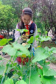 20230526何心怡获新时代好少年通讯稿_html_356a839c.jpg