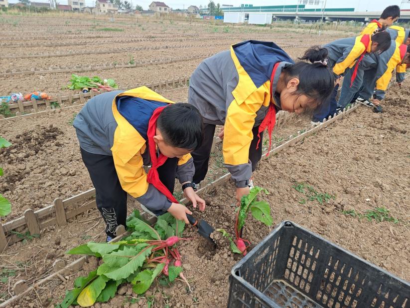 【至善实小】感悟劳动之美 培养实践之心——栖霞区实验小学开展劳动实践活动_html_42cff0d8.jpg