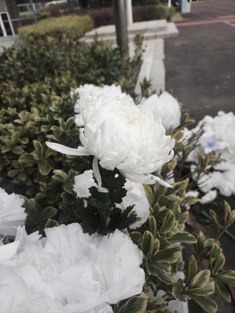 公祭日祭奠活动新闻稿(1)_html_6f129f07.jpg