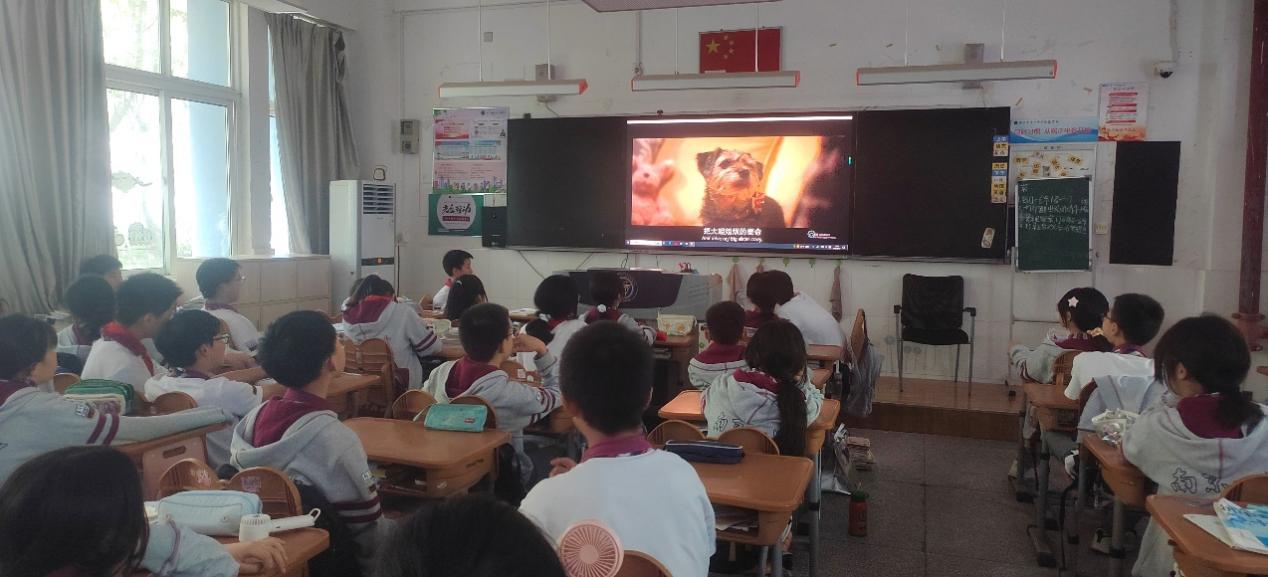 202505心理健康月_html_m4a367266.jpg