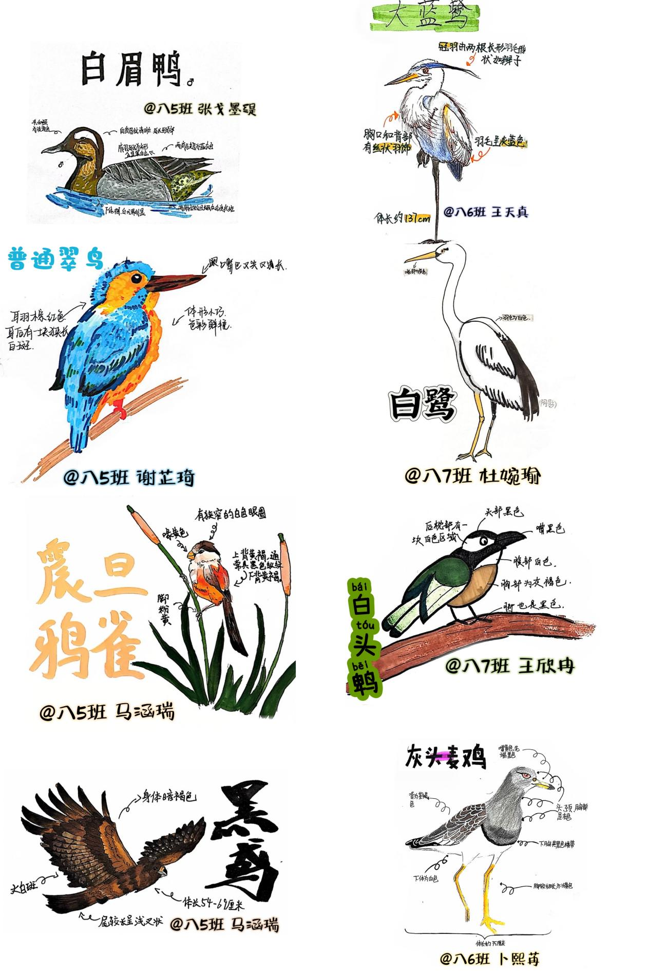 图片 22.png