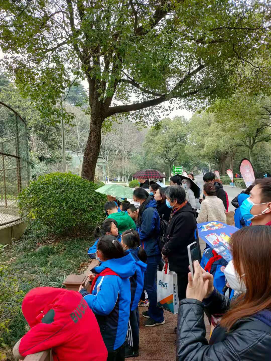 二（2）班爱心认养仪式  新闻报道_html_m42ad141f.jpg