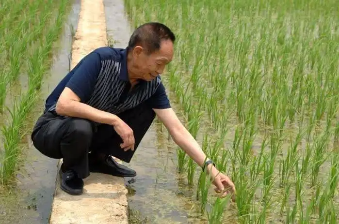 红领巾学先锋第2期_html_4d56eedd.png