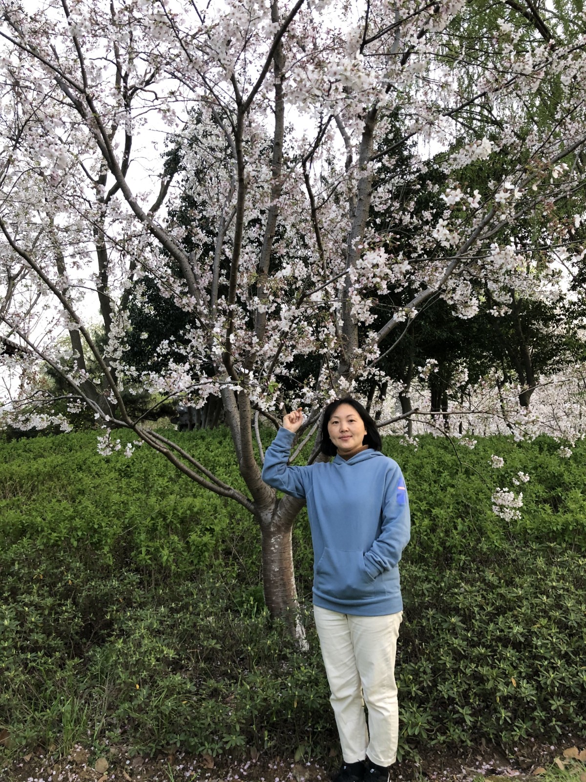 【晓庄先锋】立德树人守初心  砥砺前行续奋进——记晓庄小学党支部颜丽副书记
