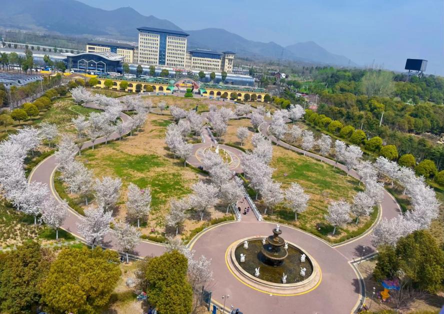 20240403春季社会实践活动（新闻稿）(1)_html_728c2b34.jpg