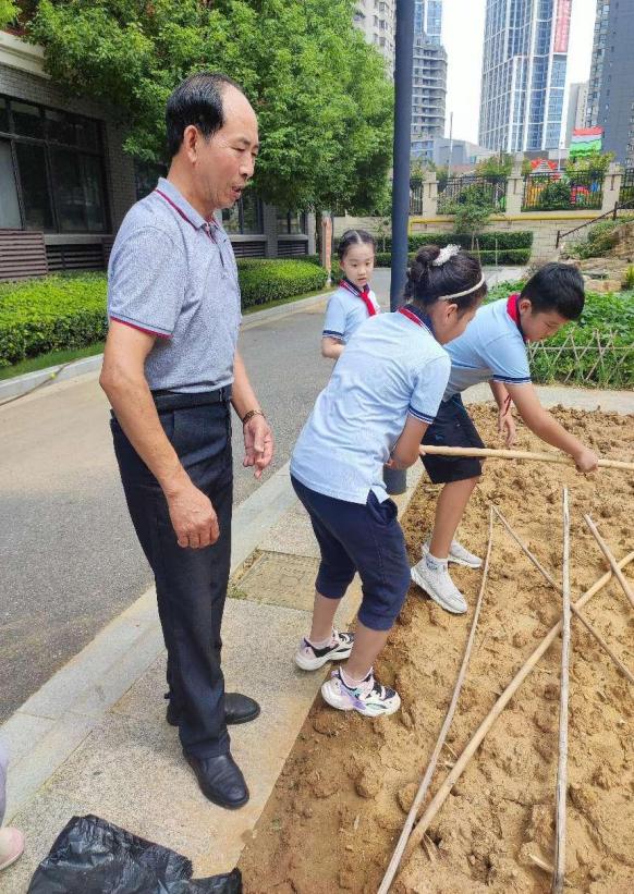 【陶娃爱劳动】秋意渐染校园 劳动尽显风采——五（4）班劳动实践小记_html_m2d808c02.jpg