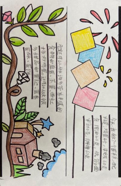 探寻“鸡蛋”奥秘新闻稿_html_5f4c1fca.jpg