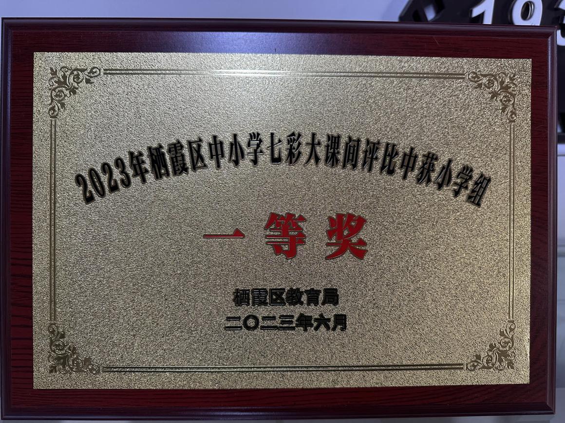 20240707南京市晓庄 小学2023-2024学年体育工作喜获佳绩(2)(1)_html_m29ab07ee.jpg