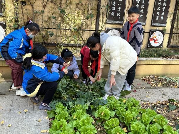 20231212快乐拔萝卜 喜获大丰收(1)_html_3a567956.jpg