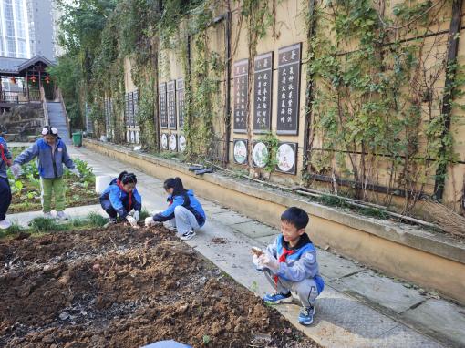 晓庄小学四(4)中队秋日采薯之旅_html_554b35e1.jpg