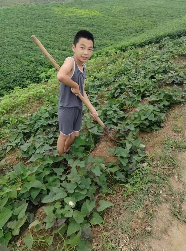 20240905 繁花一夏，“暑”你最棒_html_47645821.jpg