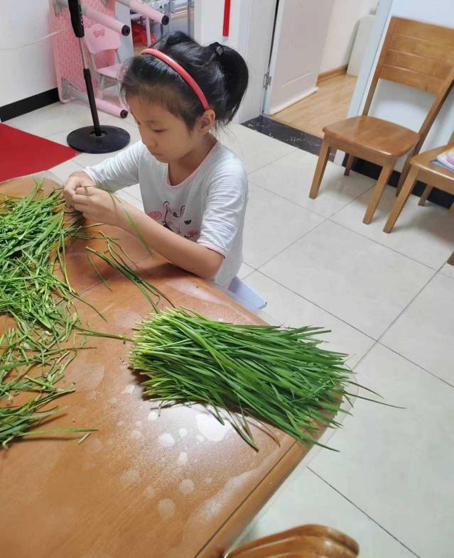 【知行晓庄】繁花一夏 “暑”你最棒——记南京市晓庄小学（行知校区）暑期“亲生活劳动实践”活动