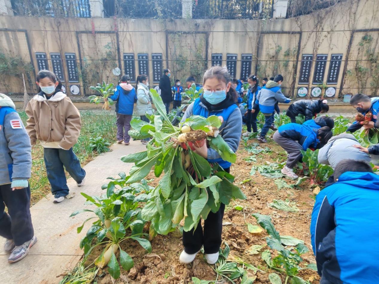 四年级5班拔萝卜劳动课堂新闻稿 _html_67f8e7fe.jpg