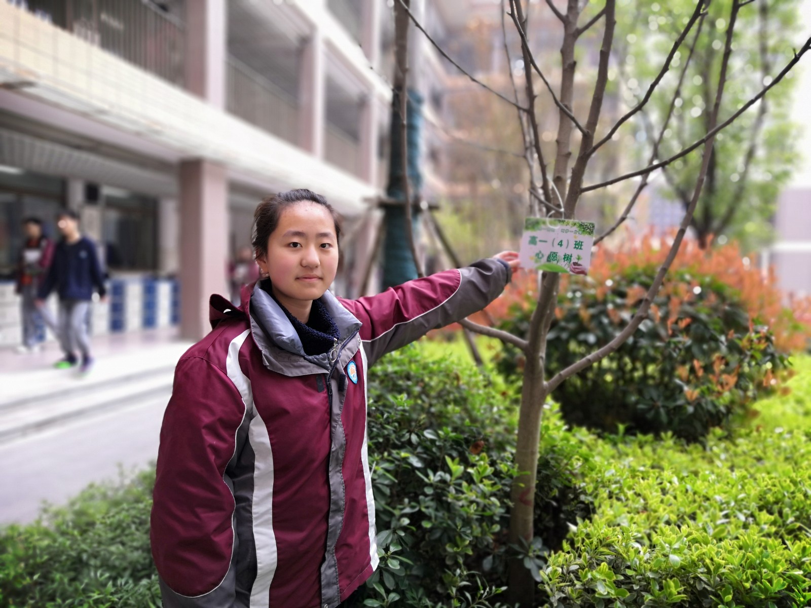 认养一棵树活动 (9).jpg