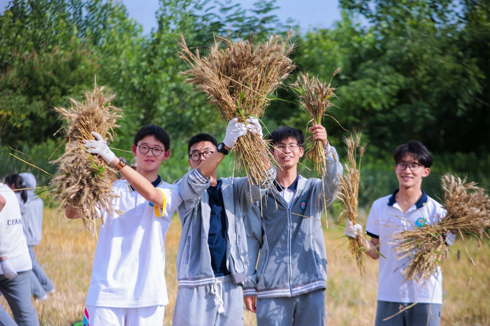 微信图片_202406121354122.jpg 微信图片_202406121354122.jpg