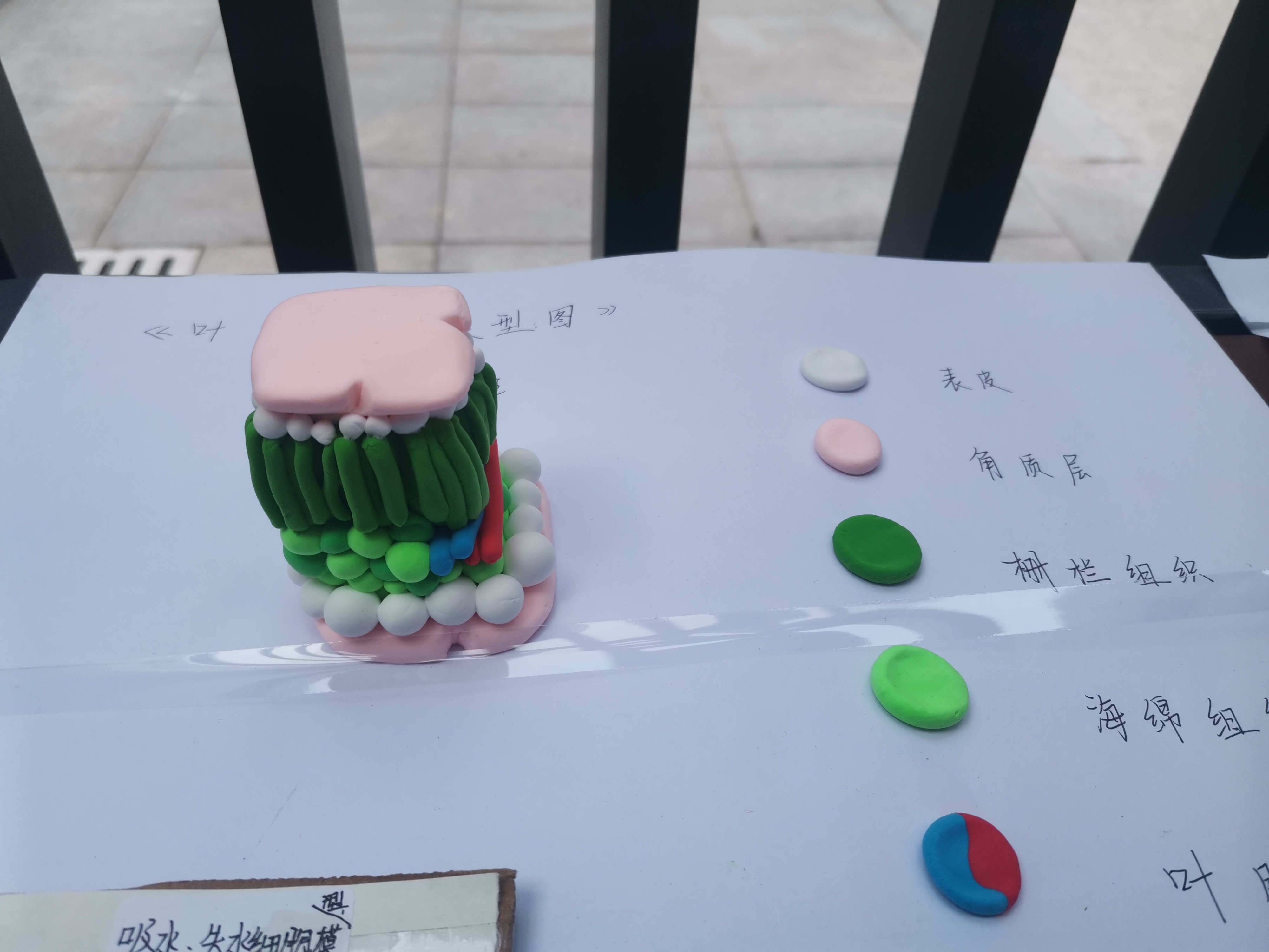 【融进教学】隆隆春雷催百籽，生生模型皆奥秘——记实初尧化生物模型比赛活动_html_239a75e.jpg