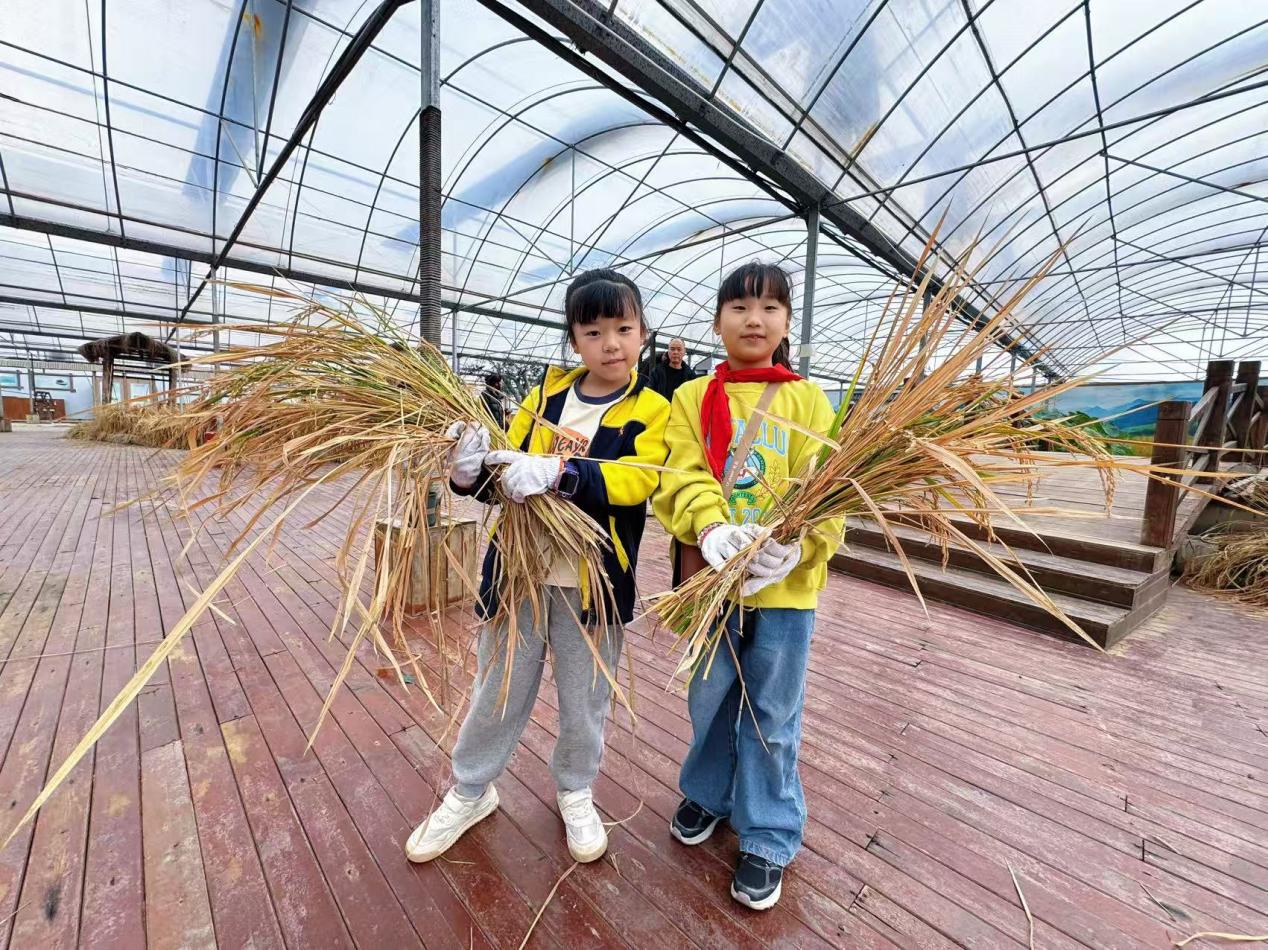 赴一场田园之约，做快乐小农夫——晓院附小三（2）班农耕体验活动2025.10(1)_html_m658f0b29.jpg
